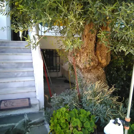 Thomi's House. Геракини